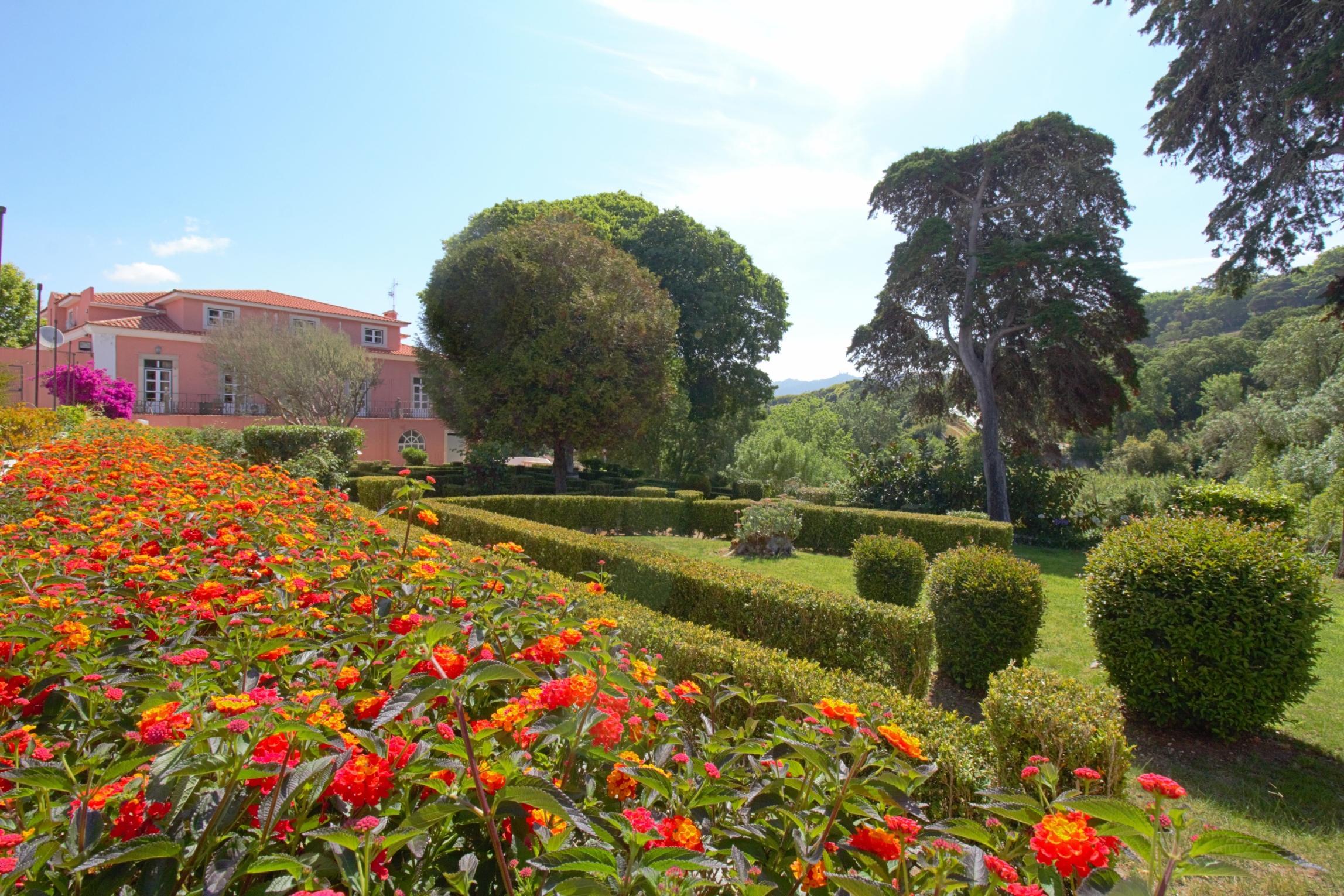 Wot Sintra Sarrazola Hotel Colares Ngoại thất bức ảnh